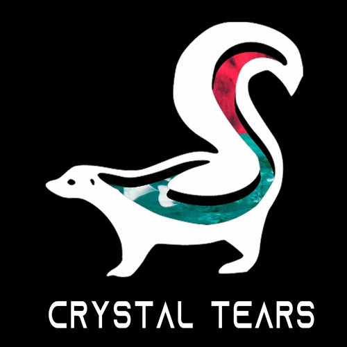 Lidez _Angel Tears_ (Original Mix)(Preview)