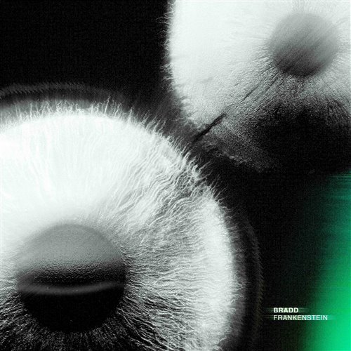 FLAC - Dancing Shadows 