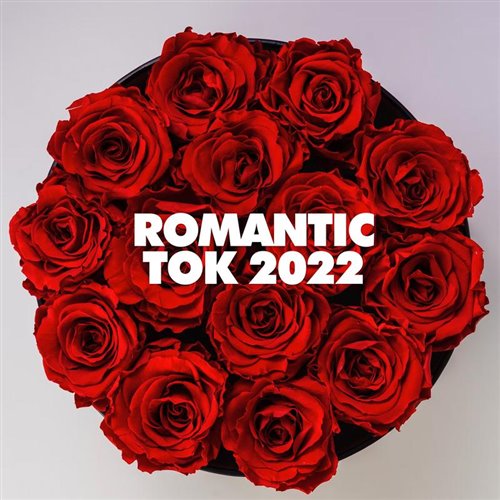 Indila - Love story (Electroplazma remix) 