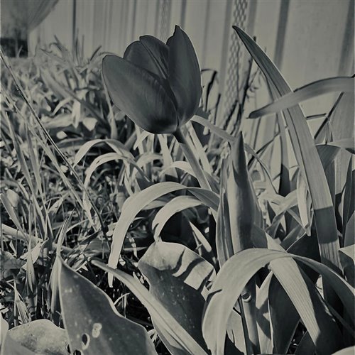 ID demo ID remix (первая версия) 