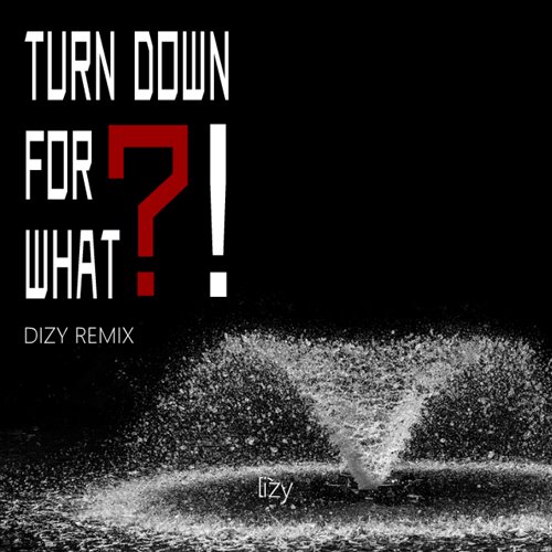 Dj Snake - Turn Down For What (Dj Jeff Hype Redrum) 100 100
