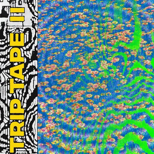 Sanolsen C.Arc -Synchronize (Colour House 컬러하우스)