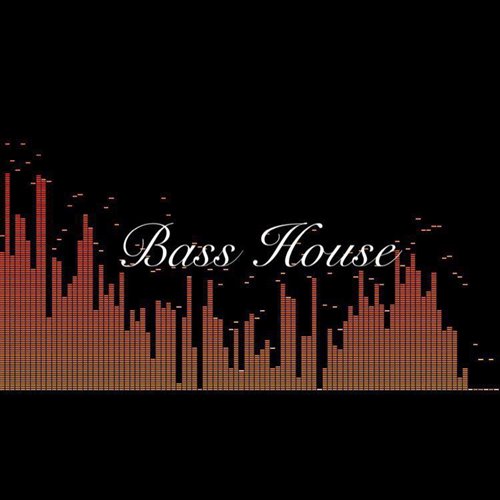 My (Bass House 베이스하우스)