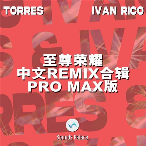 飞天茅台DJEso Bootle Tech house