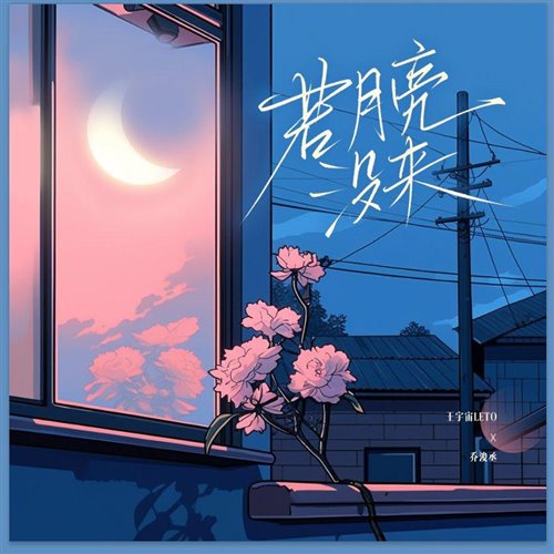 抖音热歌 - 王宇宙Leto 乔浚丞,若月亮没来 (Ellison Bootleg)