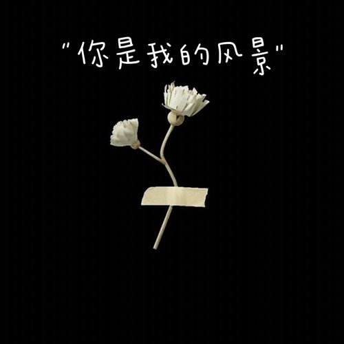 Zy-你是我的风景(Bin 2K24 Remix Bootleg)