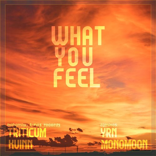 DIBIDABO, THE ILLUSTRATED MAN - What You Feel (Original Mix)