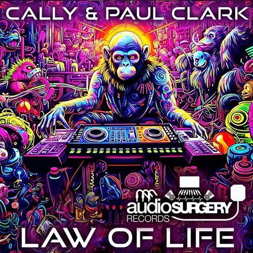 Cally  Paul Clark - Law Of Life