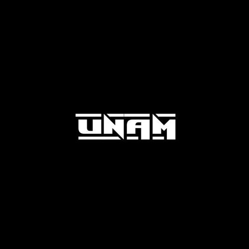 UNAM - HIT IT!!!(Orginal Mix)