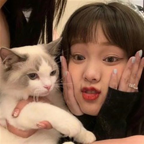 Dj.Shipov Tehno Evolution 