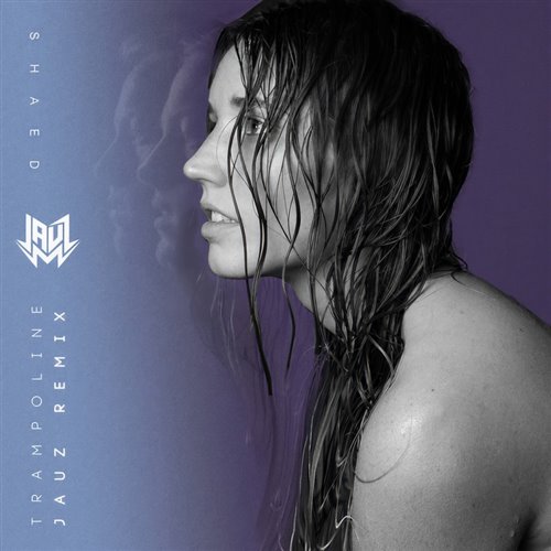 Shaed-Trampoline (Jends remix)