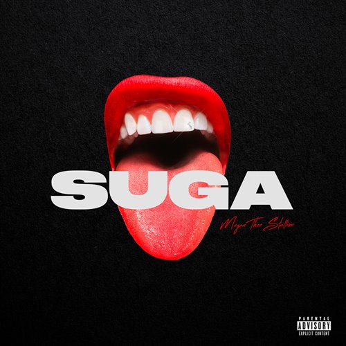 Megan Thee Stallion - Rich