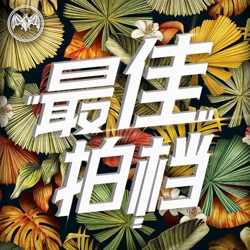 AnsrJ - 最佳拍档