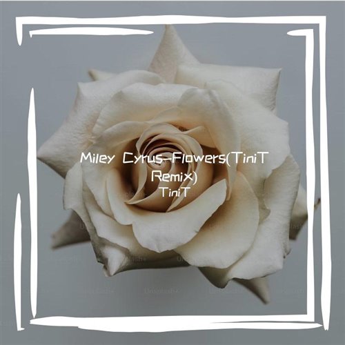 Miley Cyrus - Flowers (Dimas  D-Music Remix) 