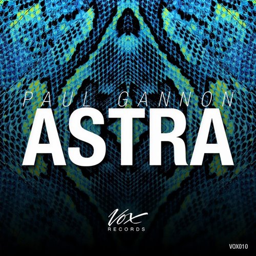 PAUL GANNON X VINAI OLLY JAMES - BRING