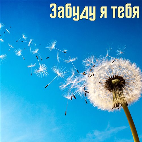 Евгений Демьяненко- Забуду я тебя (Remix). 