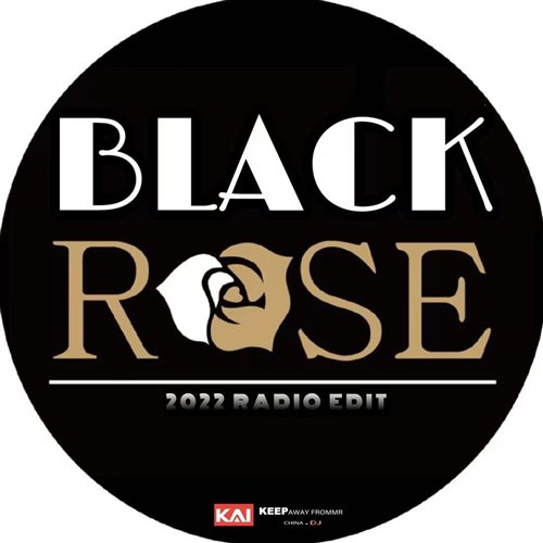 DJ Slapy - Black Box (Radio Edit) 