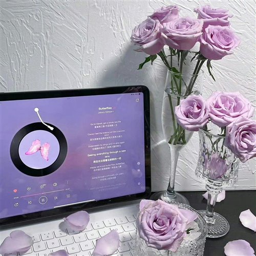 Talking to the moon(ANSWER REMIX)]