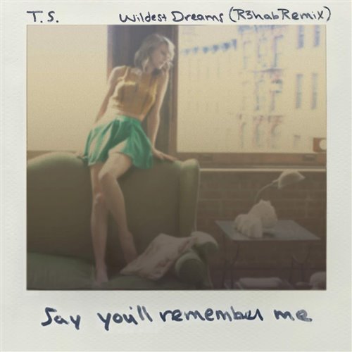 Taylor Swift - Wildest Dreams (Gin and Sonic Extended Remix)