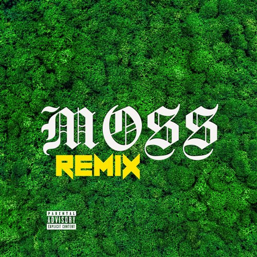 moss(remix) 
