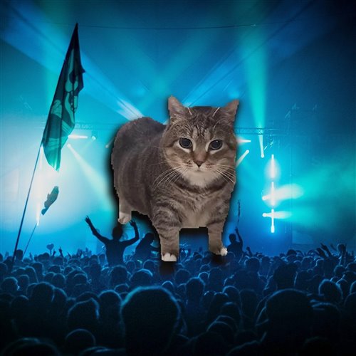 Konvekt-OIIA(Cat) 