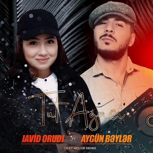 Aygun Beyler - Tut Agaci  ( ULVIIA remix ) 