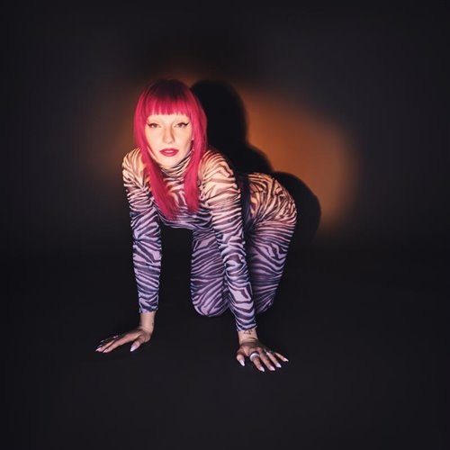 Sophie and the Giants - A Little Bit Wild (Dimas  D-Music ft. Harlid Remix) 