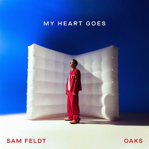 Sam Feldt feat Oaks - My Heart Goes (Dimas  D-Music Remix) 