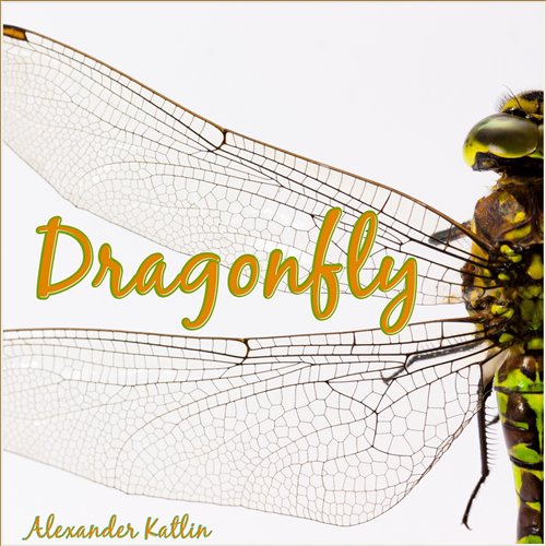 2 Alexander Krestov - Dragonfly (Part II) 