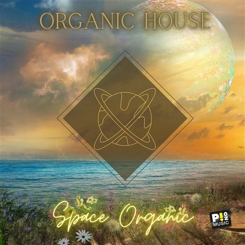 Ludo Ji  Eric Nagel - Valley Of Flowers (Robo Zhu Remix) 