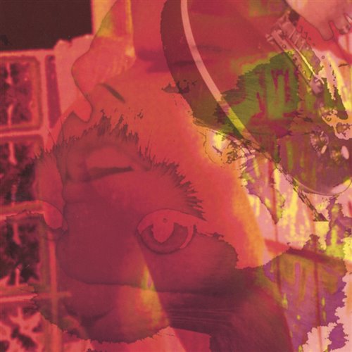 Tarantula WAYF Mash Edit