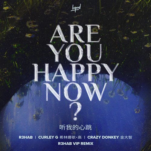 R3hab feat. Curley G  Crazy Donkey - Are You Happy Now (Dimas  D-Music Remix) 
