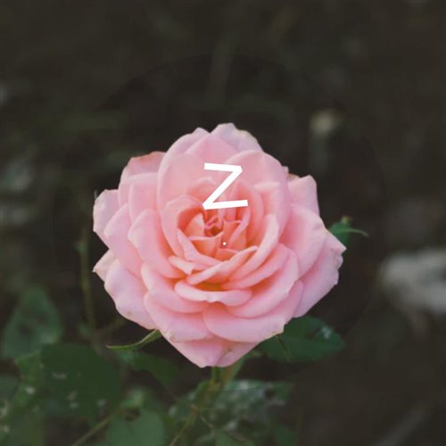 Z 