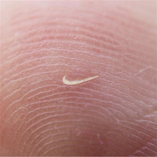 Dj Trim- Bumer(Original remix) 