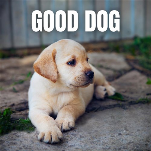 Your Own x Pop (Klai Mashup) 