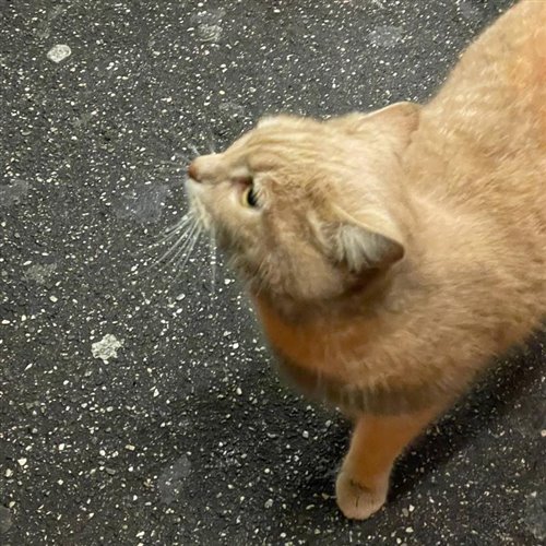 Любовь без муки (Breakbeat version) - Dj.NarCom ( Love without pain Dj.NarCom ) 