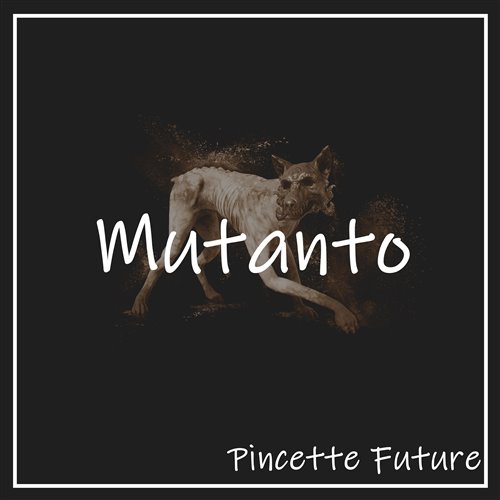 Pincette FUTURE - The old Gramophone 