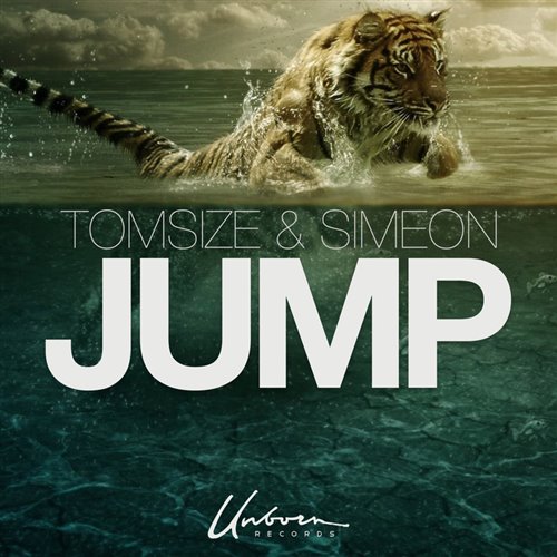 Tomsize  Simeon - Jump (DBush remix) 