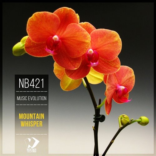 Music Evolution - Sea levitation 