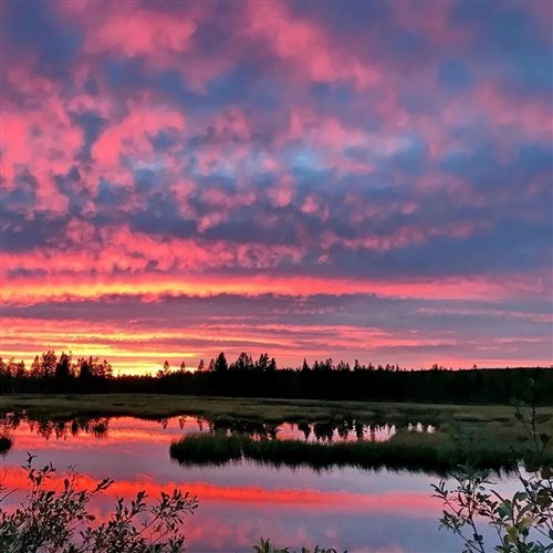 ПЕВЧАЯ – Ты заря (Q100 Remix) 