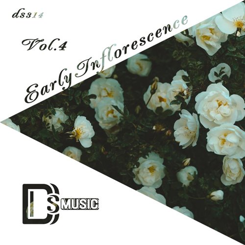 Music Evolution - Mountain whisper 