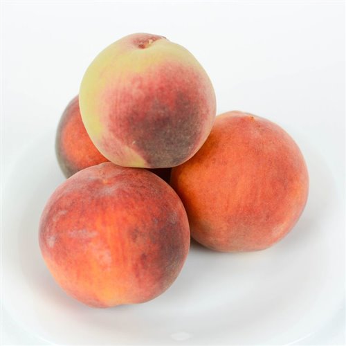 TwinkleBoy - Project 1 