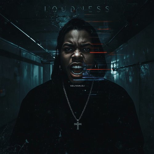 SelivaN.DJ-Loudness 