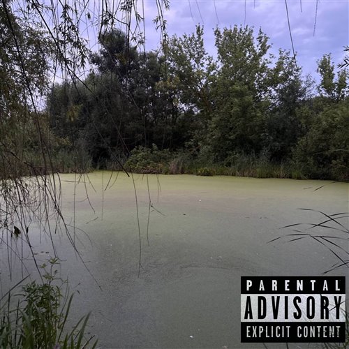 Вектор Разума - Здесь Гаязовс Не Причём 