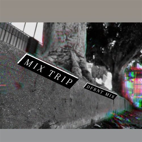 Twin Mix Trip - Momentum