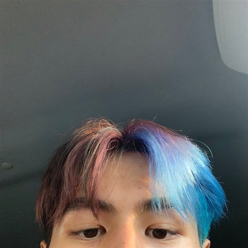 testudo 2.0 - ЭТОЙ НОЧЬЮ 