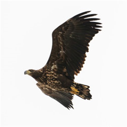 Sequn - Hardstyle Love 