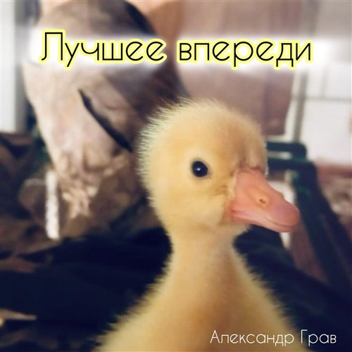 Александр Барыкин - Букет (⅛⅞ bootleg) 