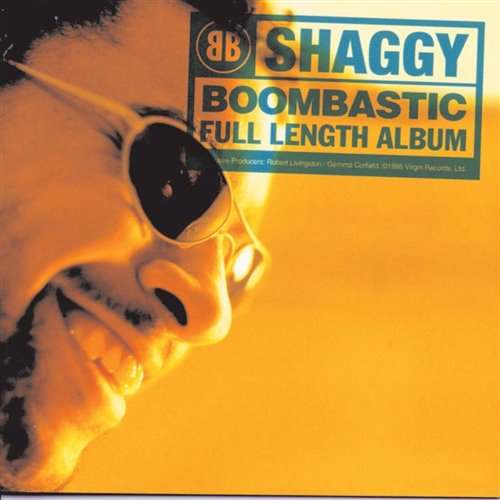 No Data - Shaggy 