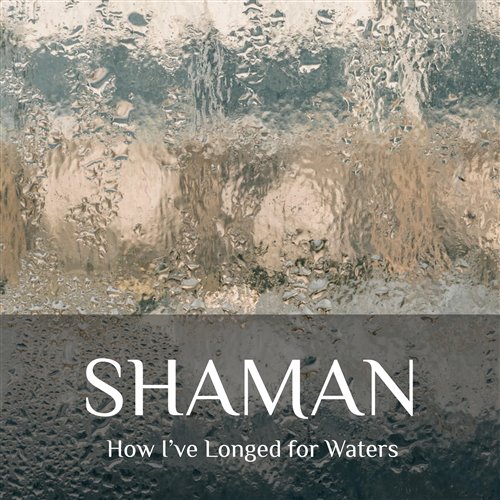 SHAMAN X ANNA ASTI - Я ОСТАНУСЬ С ТОБОЙ X Топит (DJ Flasher Blend) 